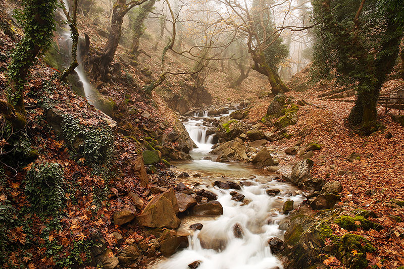 Οι γυναίκες των Αγράφων: σκληρά χέρια, τρυφερή μαγειρική-7