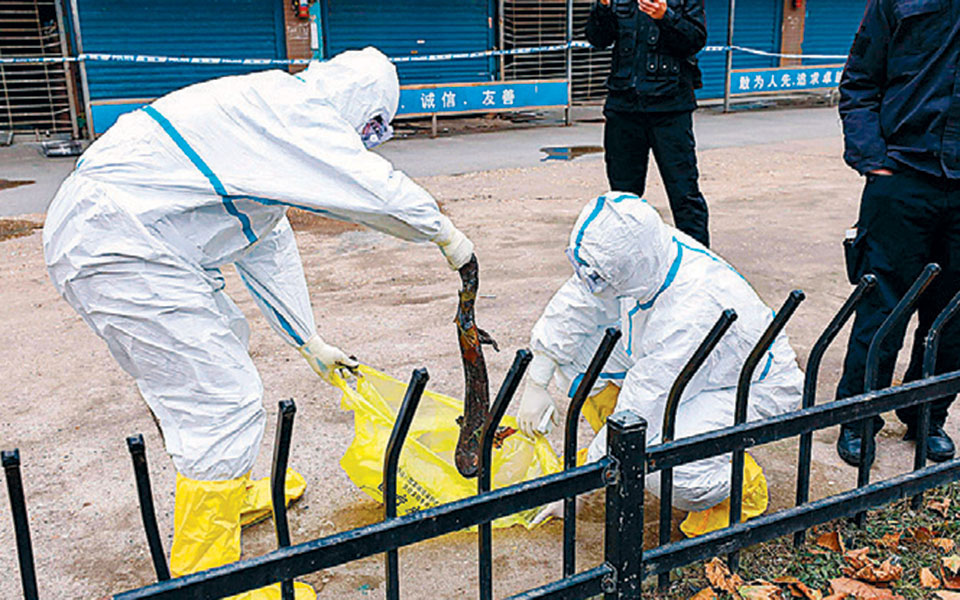 Επιδημίες που έγραψαν ιστορία…-1