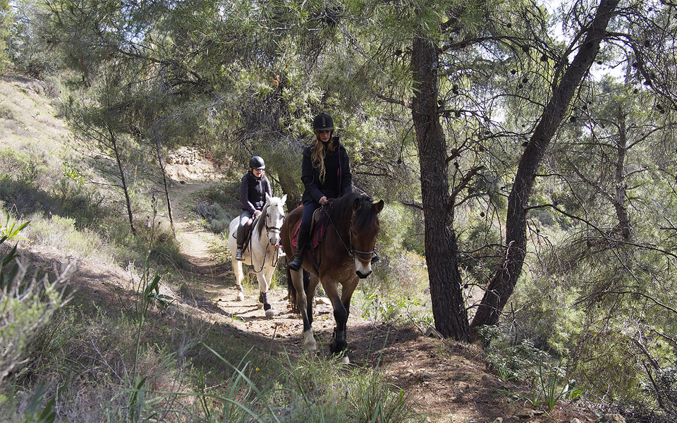 ΤΑΞΙΔΙΑ, αυτή την Κυριακή με την Καθημερινή εξορμούμε στη Σαλαμίνα και μαθαίνουμε τις εξελίξεις στον χώρο των τουριστικών πρακτορείων.-2