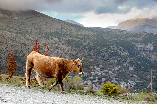 Η Ήπειρος γοητεύει-3