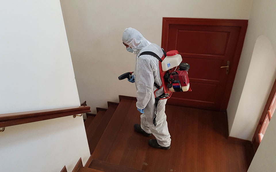 Το ημερολόγιο της καραντίνας-1