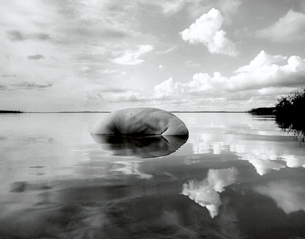 Σέλφι πριν από τις σέλφι-3