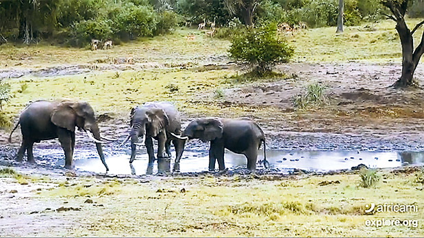 Κόβοντας κίνηση στον κόσμο-6