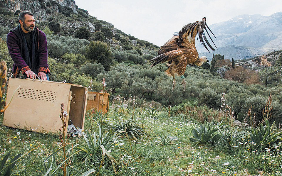 «Τα κοτσυφάκια τα ταΐζουν σπίτι τους δύο συνεργάτιδές μας»-1