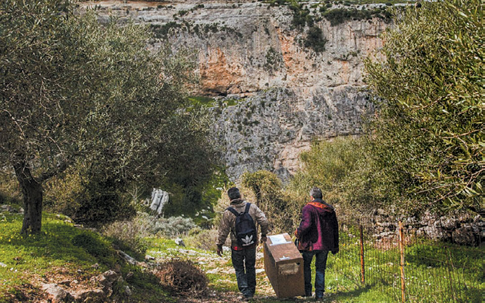 «Τα κοτσυφάκια τα ταΐζουν σπίτι τους δύο συνεργάτιδές μας»-3