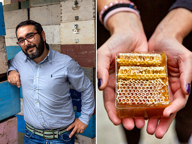 «Οι μέλισσες δουλεύουν λες και δεν συμβαίνει τίποτα στον κόσμο»-1