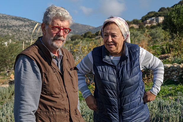 «Οι μέλισσες δουλεύουν λες και δεν συμβαίνει τίποτα στον κόσμο»-3