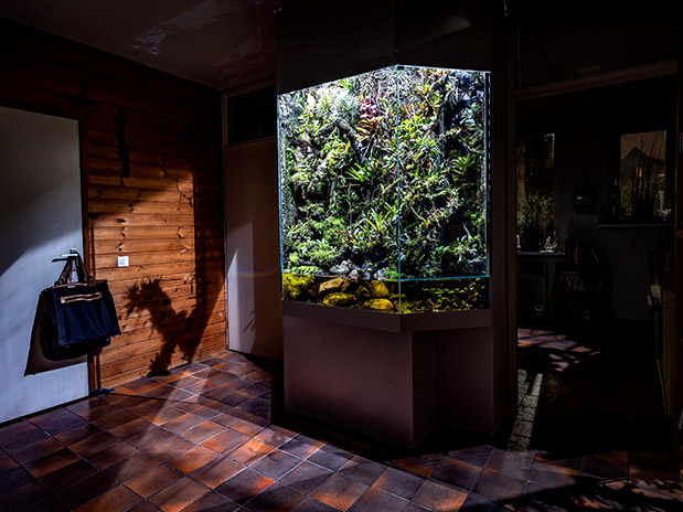 Όψεις της ζωής στον πλανήτη Γη-3