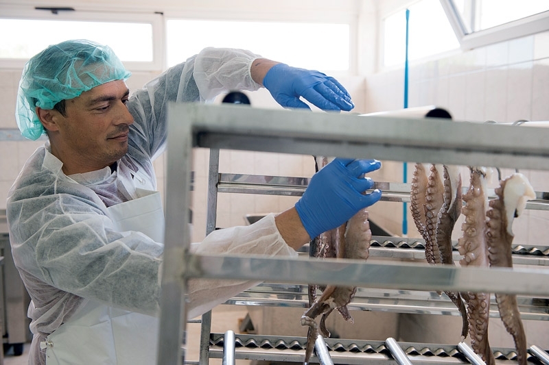 Αφιέρωμα: Χταποδομαγειρέματα (13 συνταγές)-2