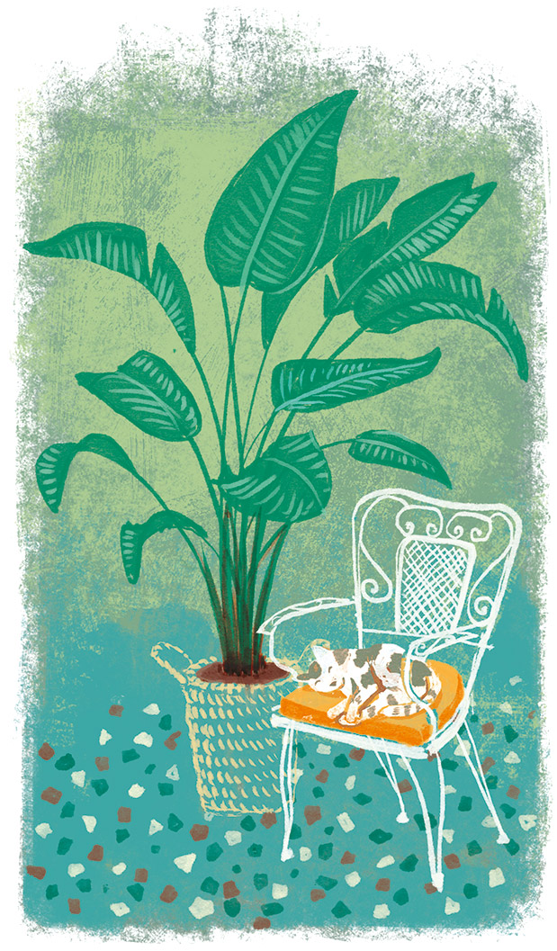 Κηπουροί της κρίσης-2