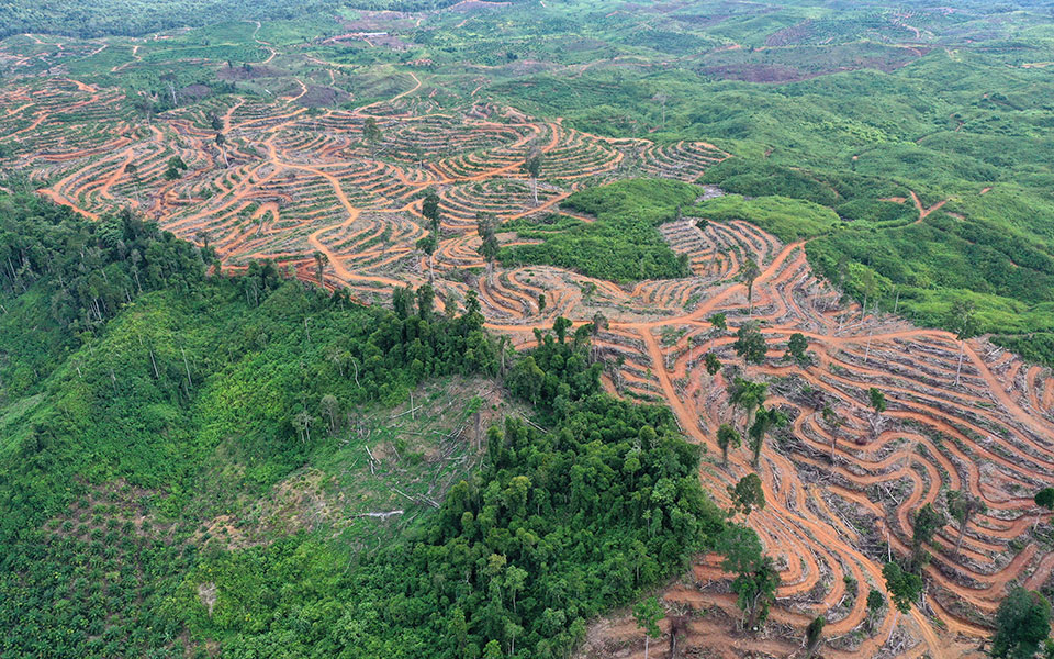 SOS για τη σχέση μας με τη φύση-1