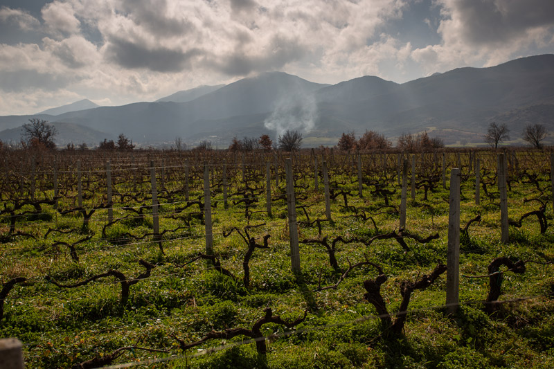 Ο καθηγητής με το «Πούρο»-2
