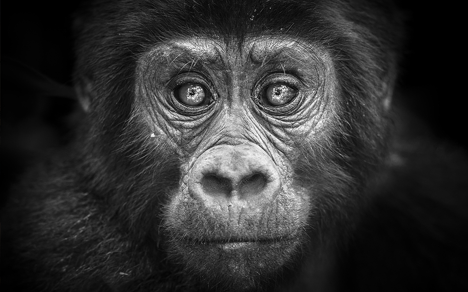 Στο “Κ” / “ΤΑΞΙΔΙΑ”, αυτή την Κυριακή, πώς τα μπαλκόνια έγιναν το νέο “έξω”-6