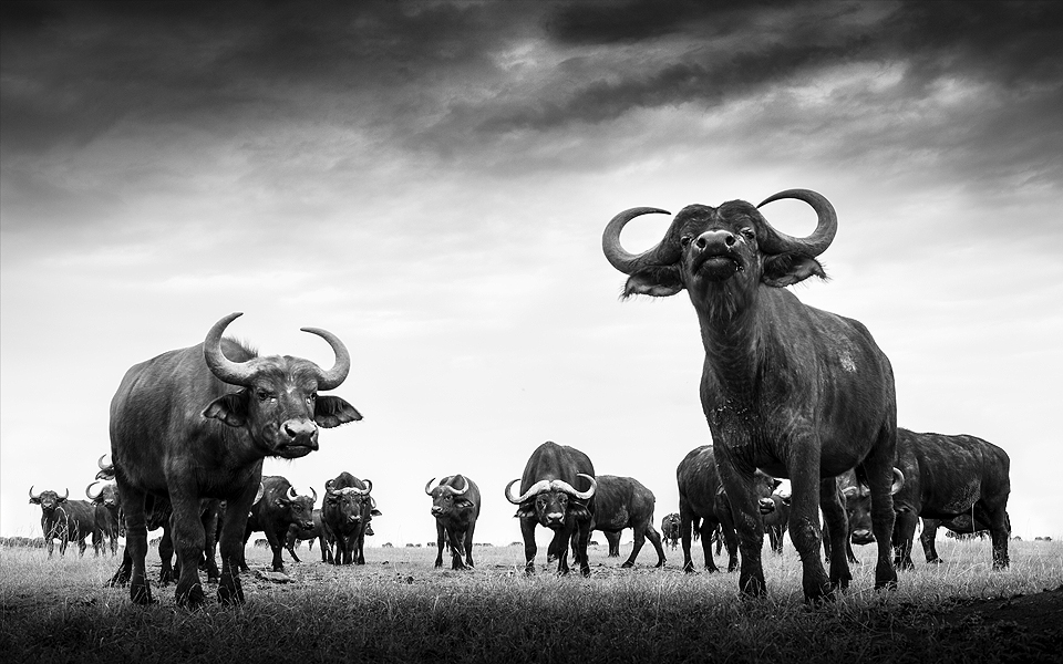 Στο “Κ” / “ΤΑΞΙΔΙΑ”, αυτή την Κυριακή, πώς τα μπαλκόνια έγιναν το νέο “έξω”-7