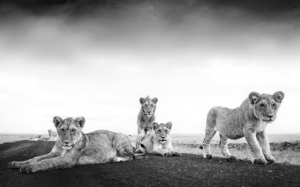 Στο “Κ” / “ΤΑΞΙΔΙΑ”, αυτή την Κυριακή, πώς τα μπαλκόνια έγιναν το νέο “έξω”-8