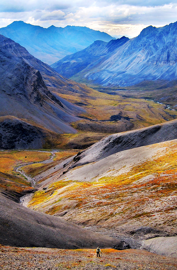 Τί μου δίδαξαν τα καριμπού-1