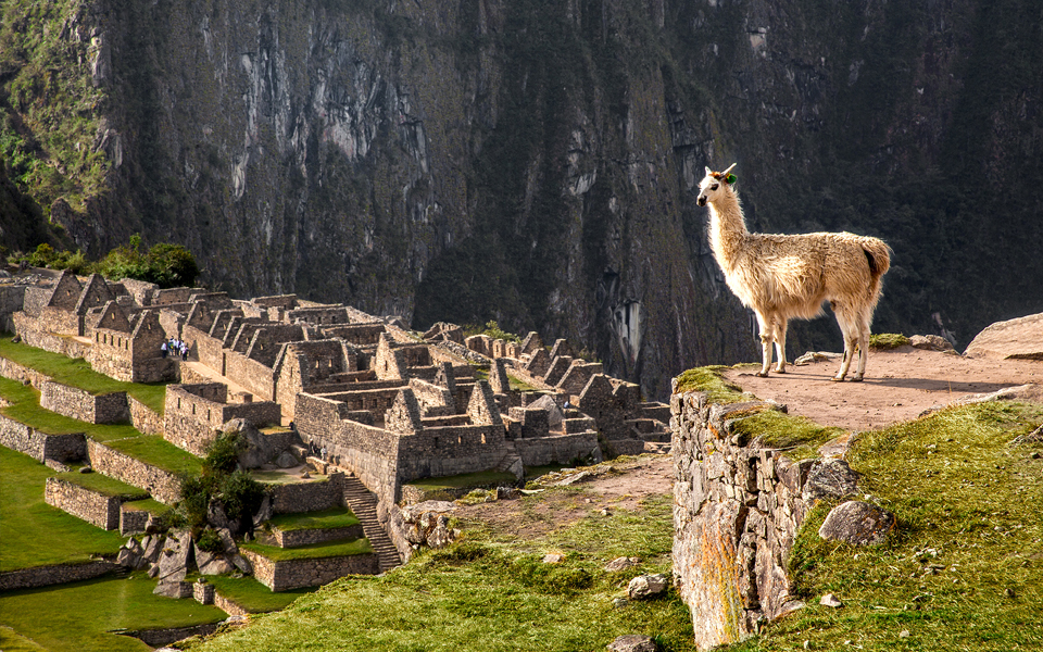 Στο “Κ” / “ΤΑΞΙΔΙΑ”, αυτή την Κυριακή, ο πολιτισμός στο ύψος του-8