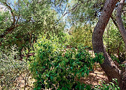 #StaySafe Πέννυ Παναγιωτοπούλου: Η πανδημία μάς κάνει να αναζητούμε την ουσία-1