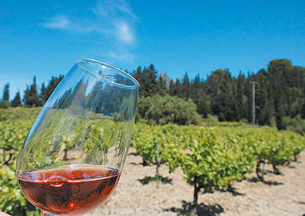 #StaySafe Αρης Σκλαβενίτης: Eφέτος θα ανακαλύψουμε τα ελληνικά κρασιά-1