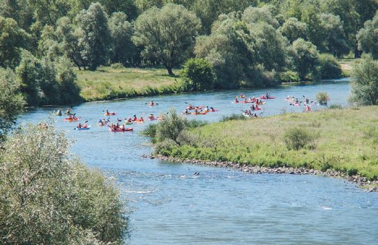 #StaySafe Κώστας και Λυδία Καρρά: Οι πανδημίες και η προστασία του περιβάλλοντος συνδέονται άμεσα-3