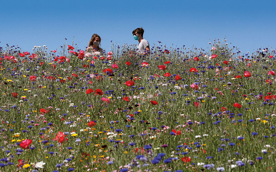 Έρωτας στα χρόνια του κορονοϊού-1