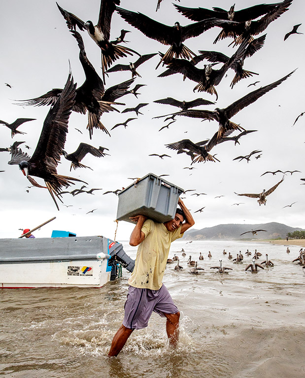 Say… τσίου: Bird photographer of the year-1