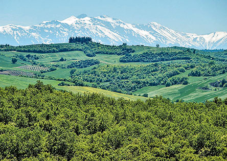 #StaySafe Αγγελική Κοτταρίδη: Ο Αλέξανδρος μας διδάσκει, 2.350 χρόνια μετά-1