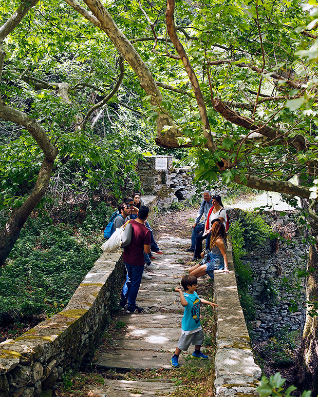 Στης Άνδρου τις εξοχές-1