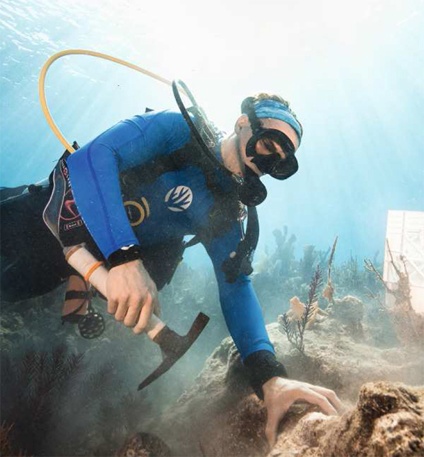 ORIS Carysfort Reef Limited Edition-1