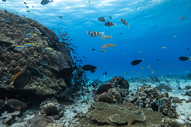 H BLANCPAIN στη νήσο Fregate-3