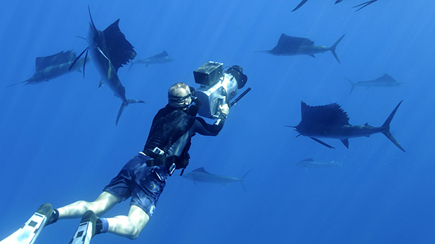 H OMEGA μας προσκαλεί να δούμε την ταινία Planet Ocean-2