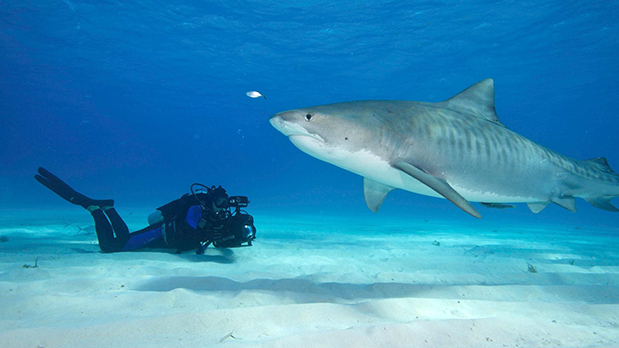 H OMEGA μας προσκαλεί να δούμε την ταινία Planet Ocean-1