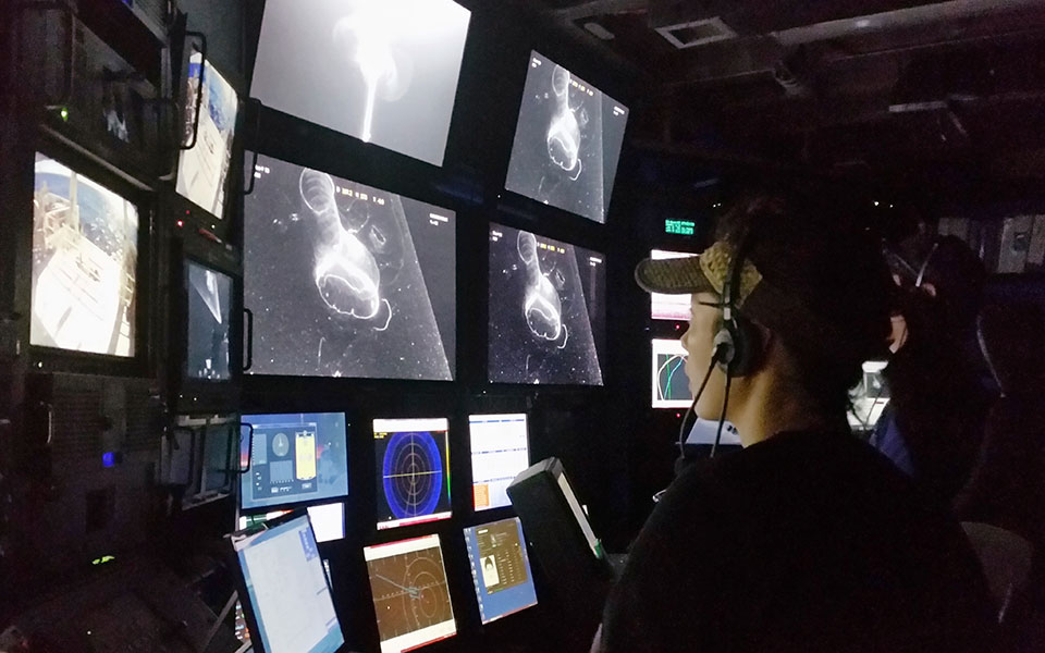 Τα πιο παράξενα είδη των θαλασσών, τώρα σε υψηλή ευκρίνεια-2