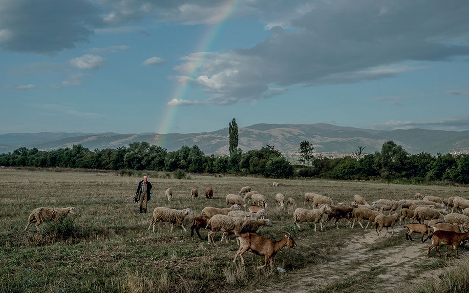 Ωδή στο αυτοκίνητο-1