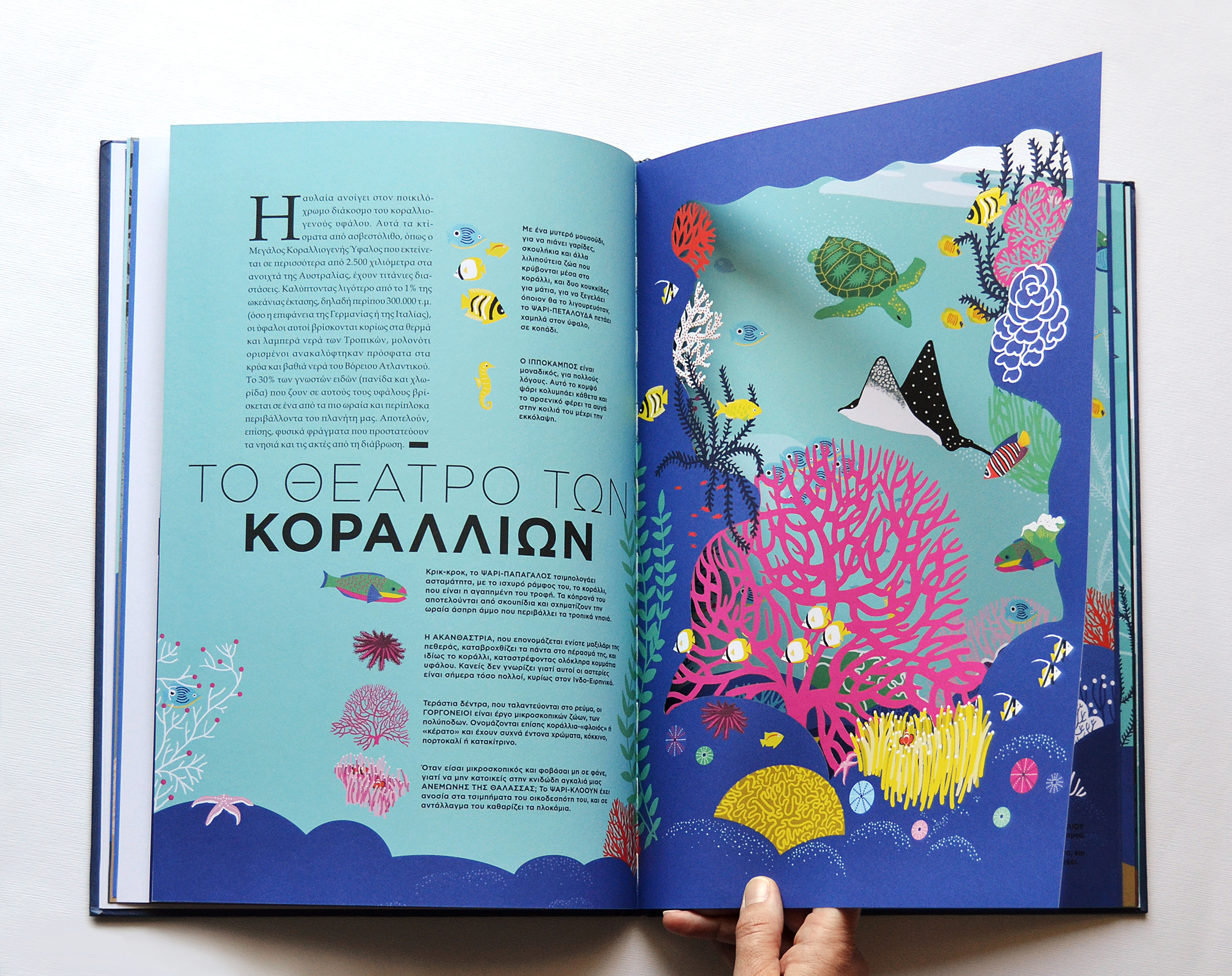 «Ωκεανός» από χαρτί και χρώμα-2