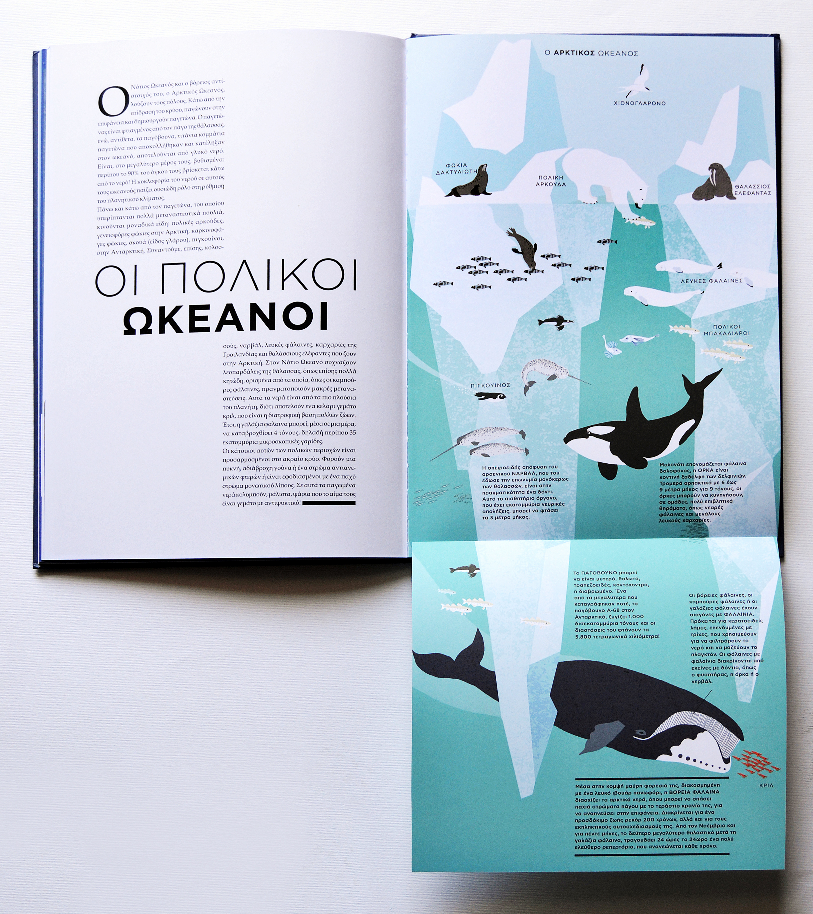 «Ωκεανός» από χαρτί και χρώμα-3