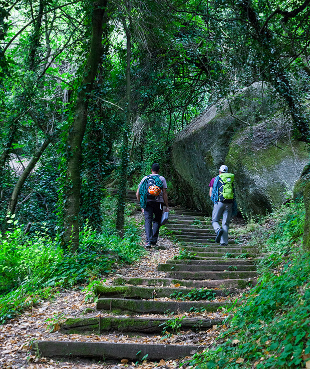 Μετέωρα: Αράχνες στα βράχια-2