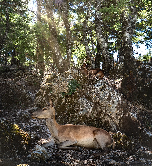 Στην Πάρνηθα μια μέρα-1