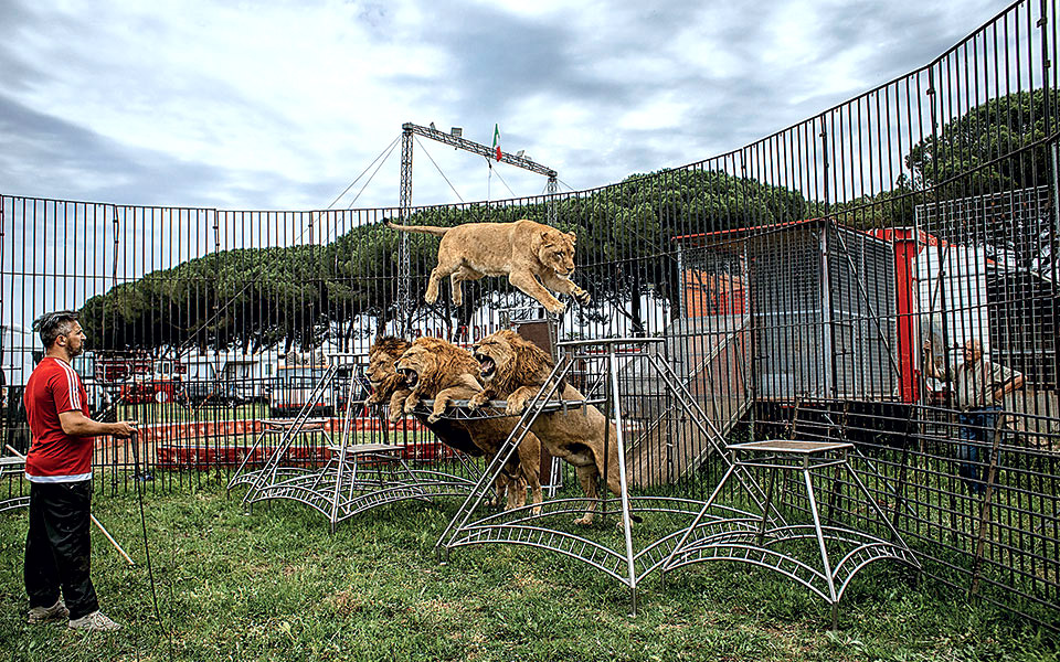 Το ακίνητο τσίρκο-1