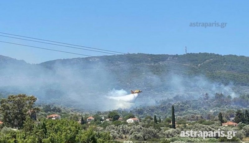 Χίος: Σε ύφεση η πυρκαγιά στην περιοχή της ΒΙΑΛ-1