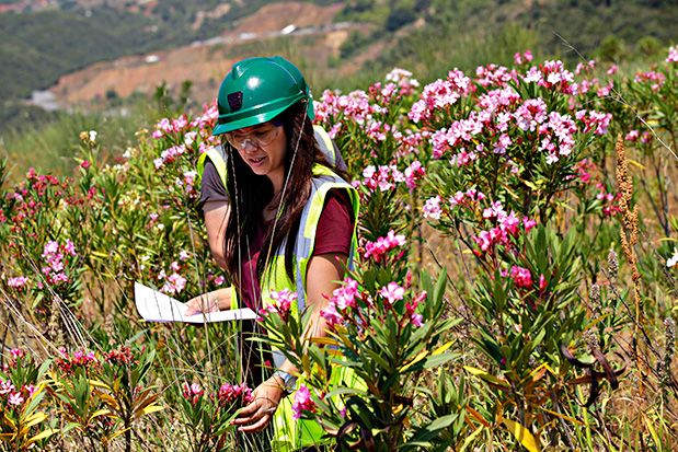 Πράσινη Οικονομία; Αδύνατη χωρίς ορυκτά και μέταλλα ως πρώτη ύλη-1