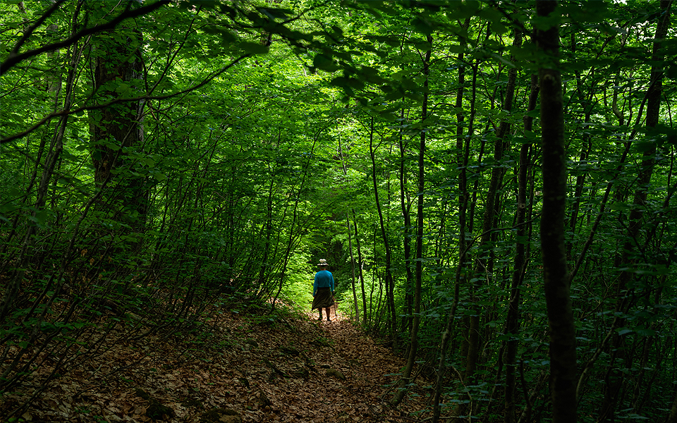 Το “Κ” / “ΤΑΞΙΔΙΑ”, αυτή την Κυριακή, είναι γεμάτο αυτοκίνητο!-11