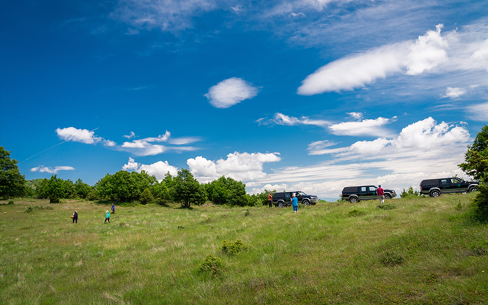 Το “Κ” / “ΤΑΞΙΔΙΑ”, αυτή την Κυριακή, είναι γεμάτο αυτοκίνητο!-13