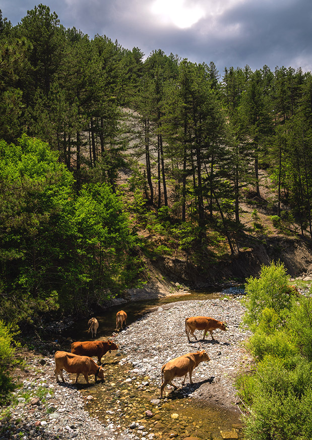Καλοκαίρι στη Βάλια Κάλντα-1