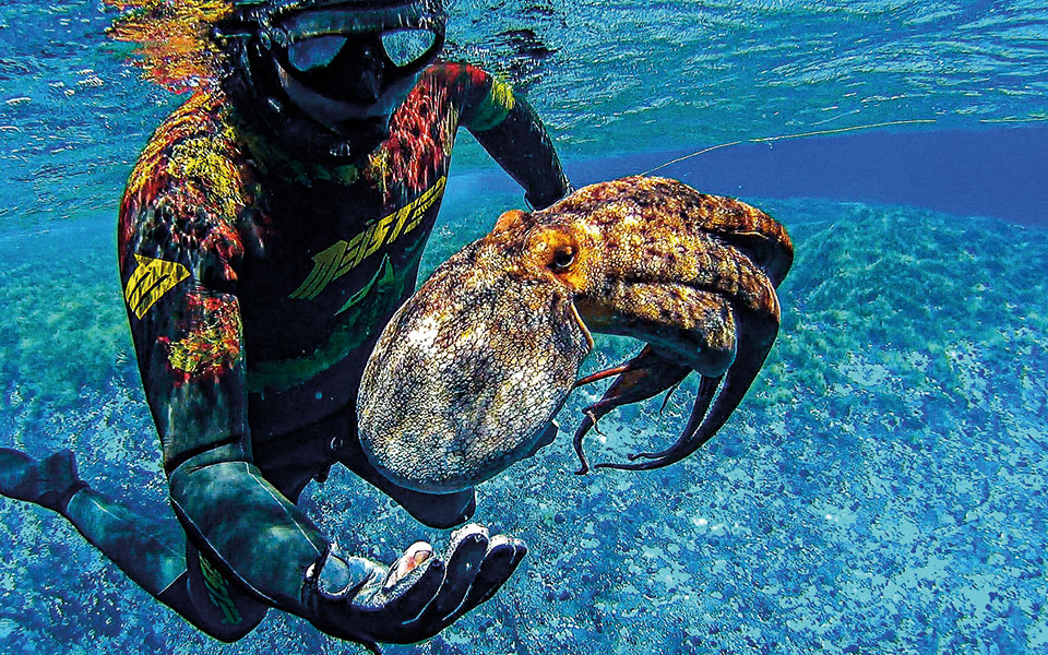 Το απέραντο γαλάζιο του Δήμου Αδάμη-1
