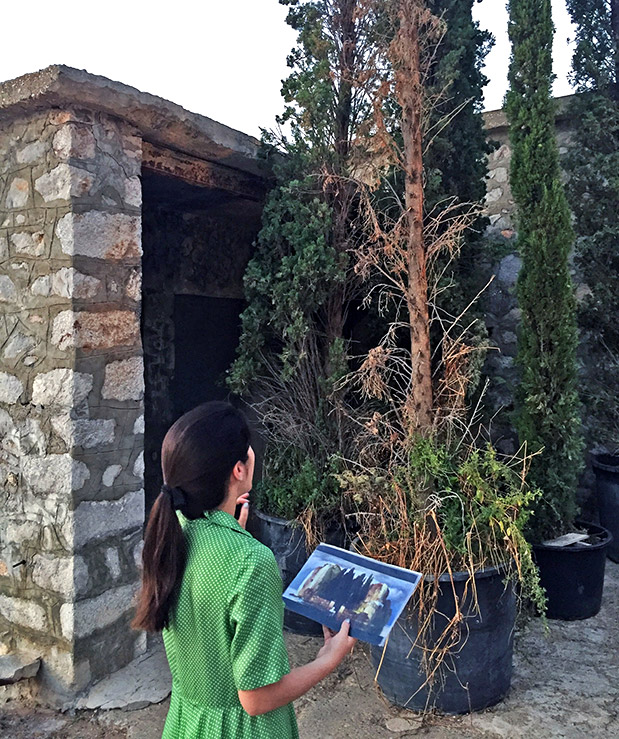 Φοίνικες και κυπαρίσσια-1