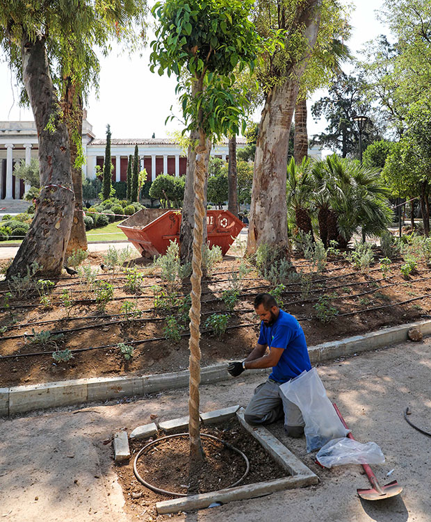 Ο νέος κήπος του Αρχαιολογικού Μουσείου-1