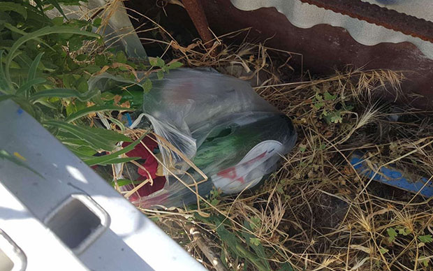 18 κρυμμένες μολότοφ στην περιοχή της Ν. Φιλαδέλφειας εντόπισε η ΕΛ.ΑΣ.-1
