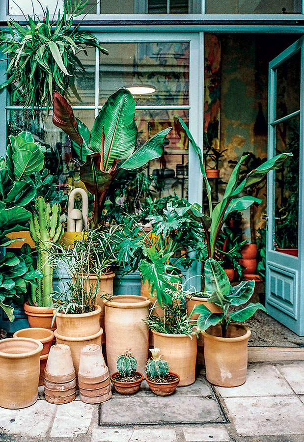 Πράσινη Αθήνα-1