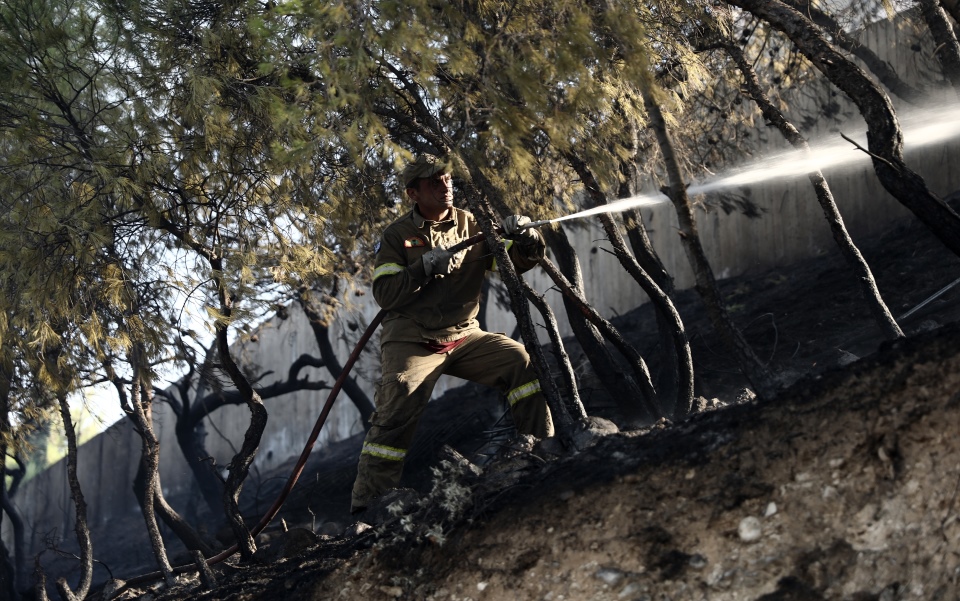 Ολονύχτια μάχη με τις φλόγες στις Κεχριές: Ενισχύσεις από την Θεσσαλονίκη (βίντεο – φωτογραφίες)-5